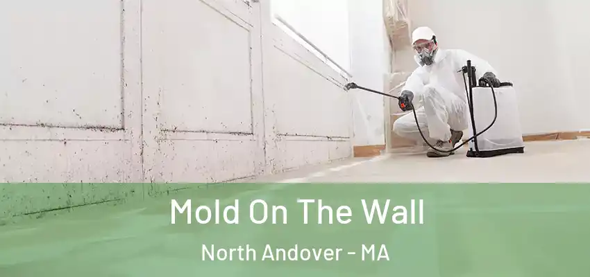  Mold On The Wall North Andover - MA