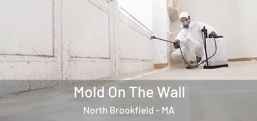 Mold On The Wall North Brookfield - MA