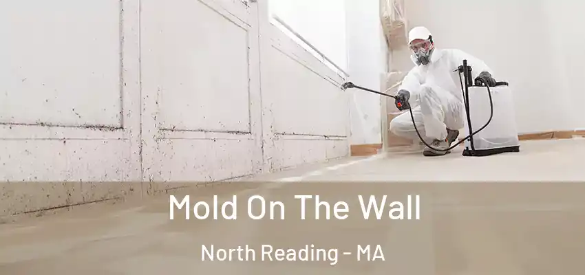  Mold On The Wall North Reading - MA
