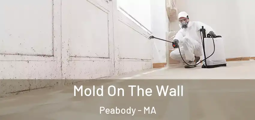 Mold On The Wall Peabody - MA