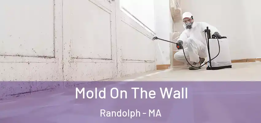 Mold On The Wall Randolph - MA
