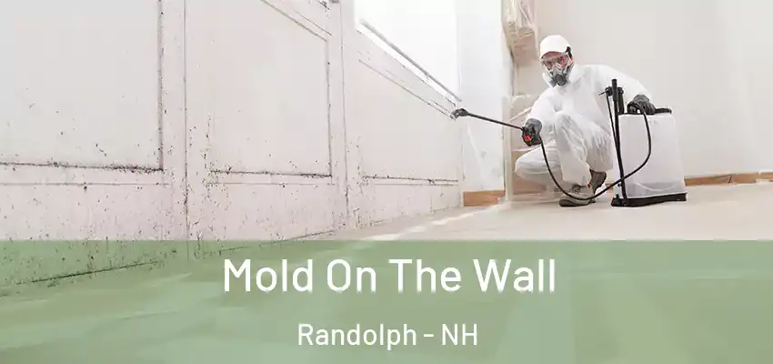 Mold On The Wall Randolph - NH