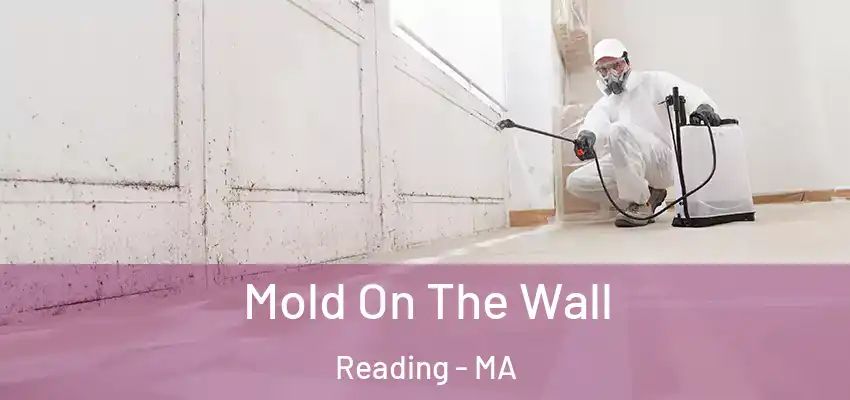 Mold On The Wall Reading - MA