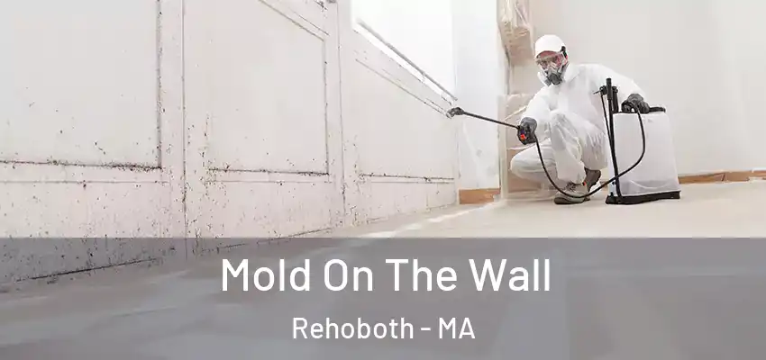  Mold On The Wall Rehoboth - MA