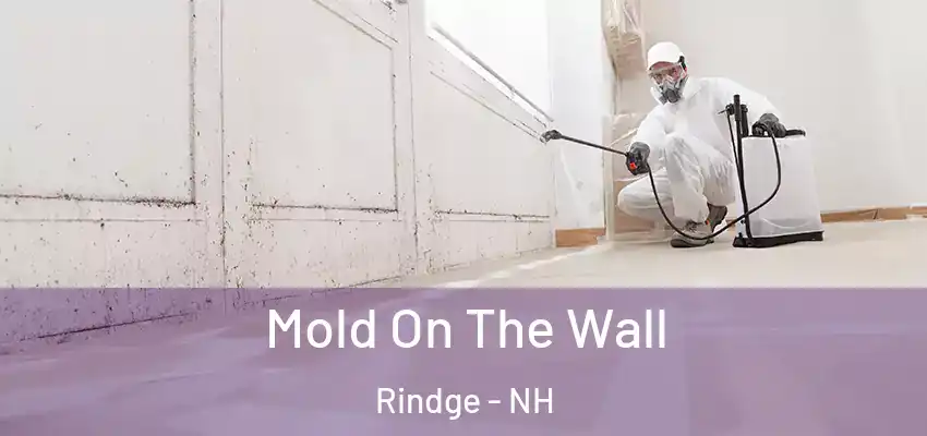  Mold On The Wall Rindge - NH