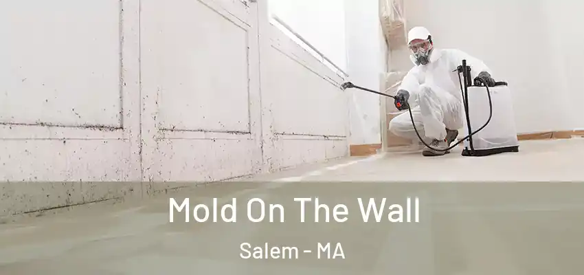 Mold On The Wall Salem - MA