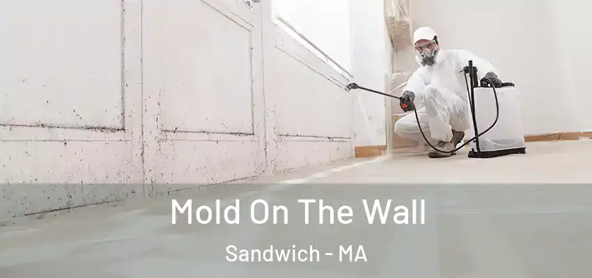 Mold On The Wall Sandwich - MA