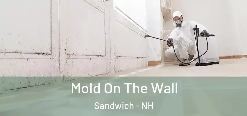  Mold On The Wall Sandwich - NH