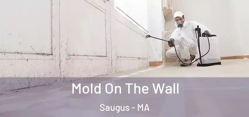 Mold On The Wall Saugus - MA
