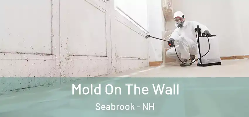 Mold On The Wall Seabrook - NH