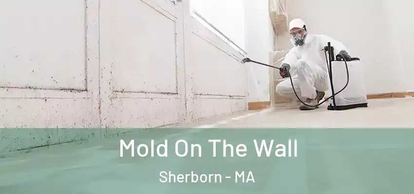 Mold On The Wall Sherborn - MA