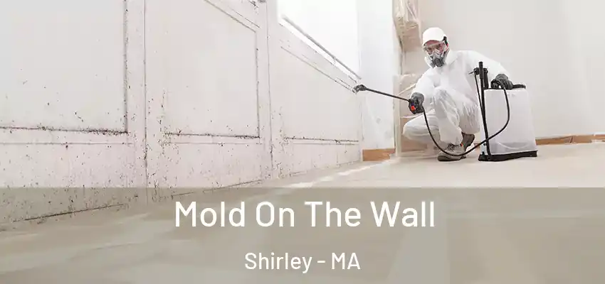 Mold On The Wall Shirley - MA