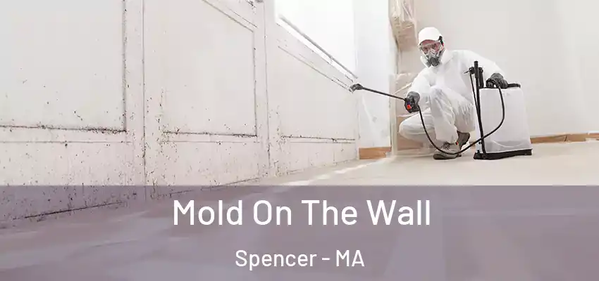 Mold On The Wall Spencer - MA