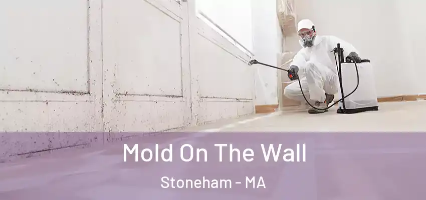 Mold On The Wall Stoneham - MA