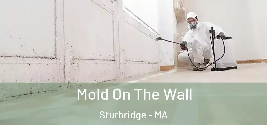 Mold On The Wall Sturbridge - MA