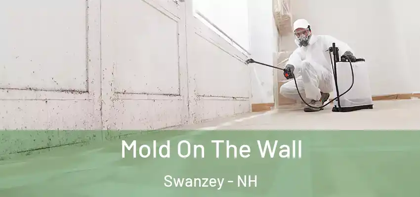  Mold On The Wall Swanzey - NH