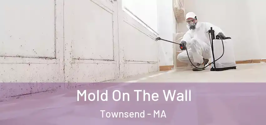 Mold On The Wall Townsend - MA