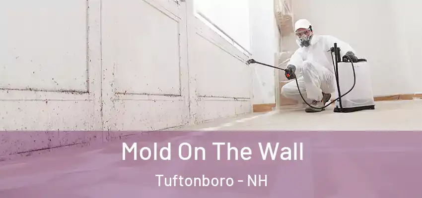  Mold On The Wall Tuftonboro - NH