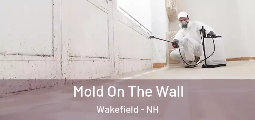  Mold On The Wall Wakefield - NH