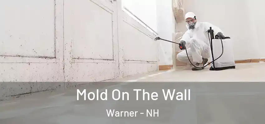  Mold On The Wall Warner - NH