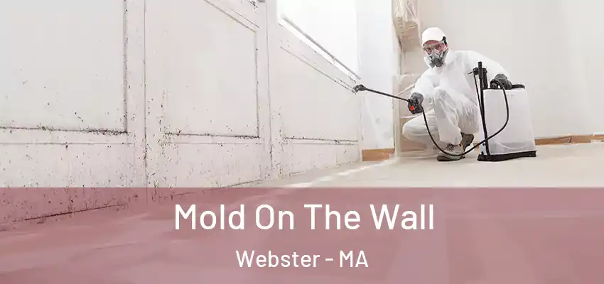 Mold On The Wall Webster - MA