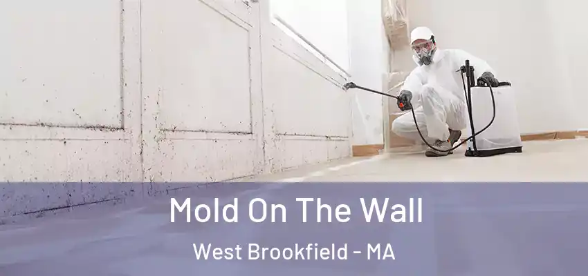 Mold On The Wall West Brookfield - MA