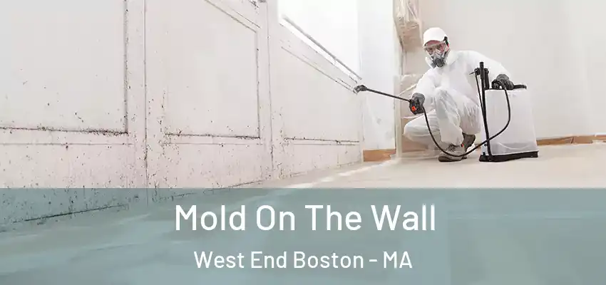 Mold On The Wall West End Boston - MA