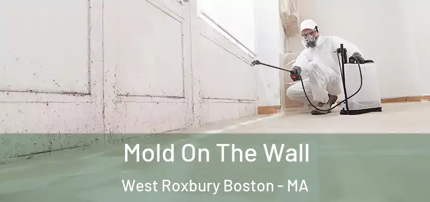  Mold On The Wall West Roxbury Boston - MA