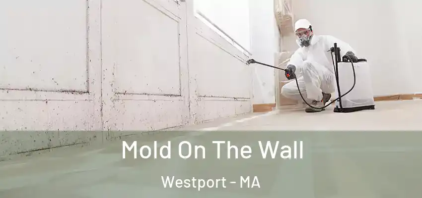  Mold On The Wall Westport - MA