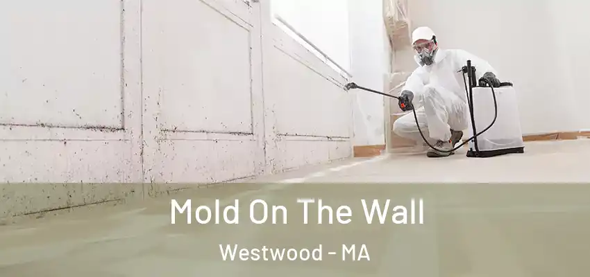  Mold On The Wall Westwood - MA