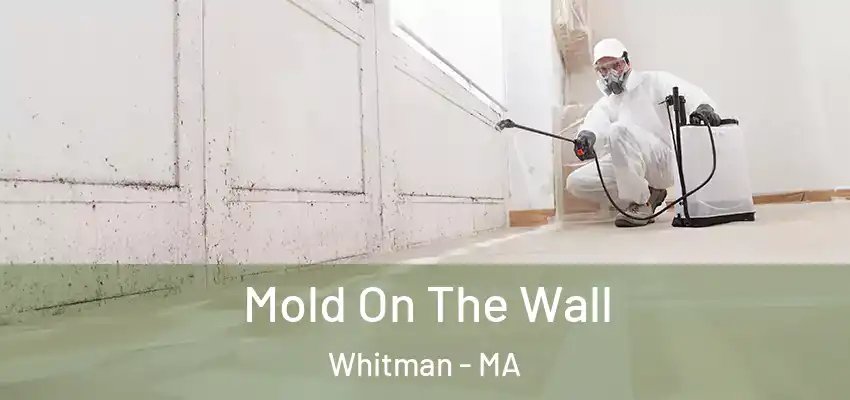 Mold On The Wall Whitman - MA