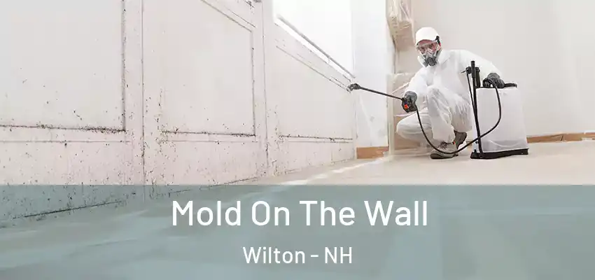 Mold On The Wall Wilton - NH