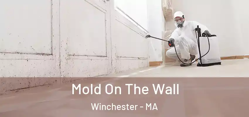  Mold On The Wall Winchester - MA