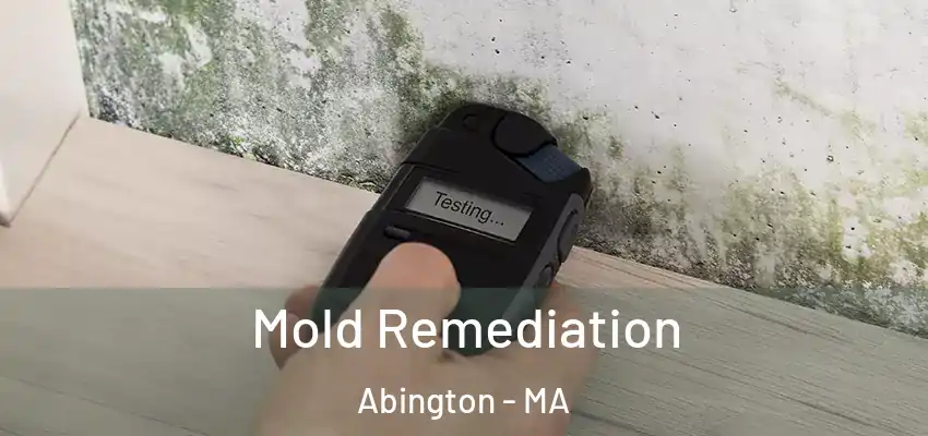 Mold Remediation Abington - MA