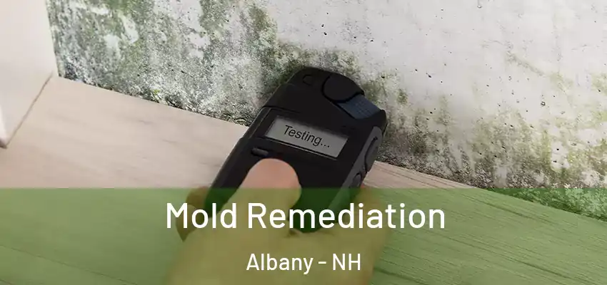 Mold Remediation Albany - NH