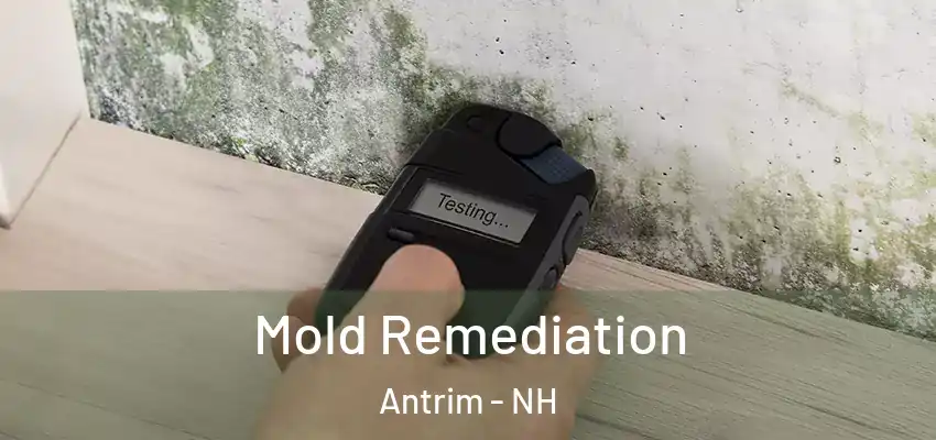  Mold Remediation Antrim - NH