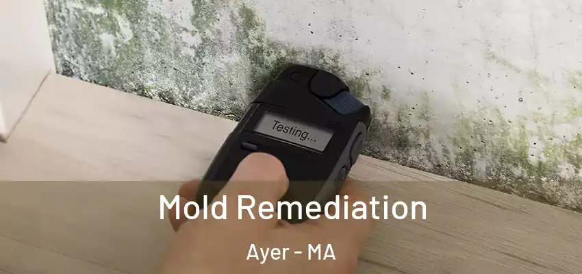 Mold Remediation Ayer - MA