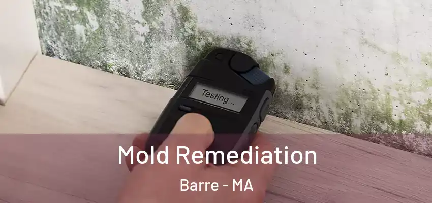  Mold Remediation Barre - MA