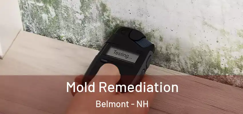  Mold Remediation Belmont - NH