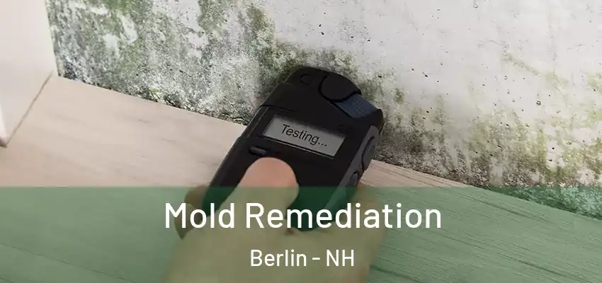 Mold Remediation Berlin - NH