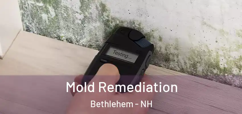 Mold Remediation Bethlehem - NH
