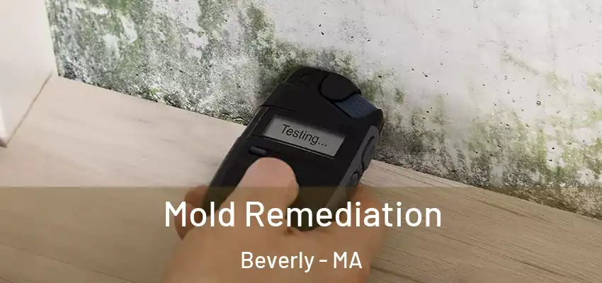 Mold Remediation Beverly - MA