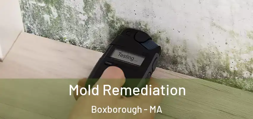  Mold Remediation Boxborough - MA