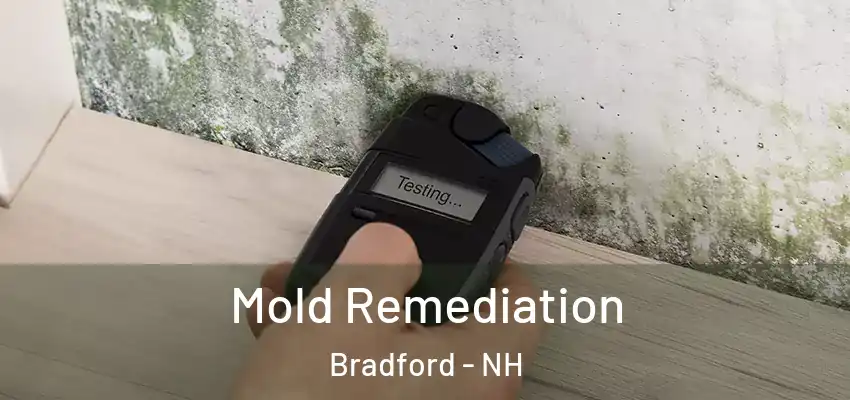Mold Remediation Bradford - NH