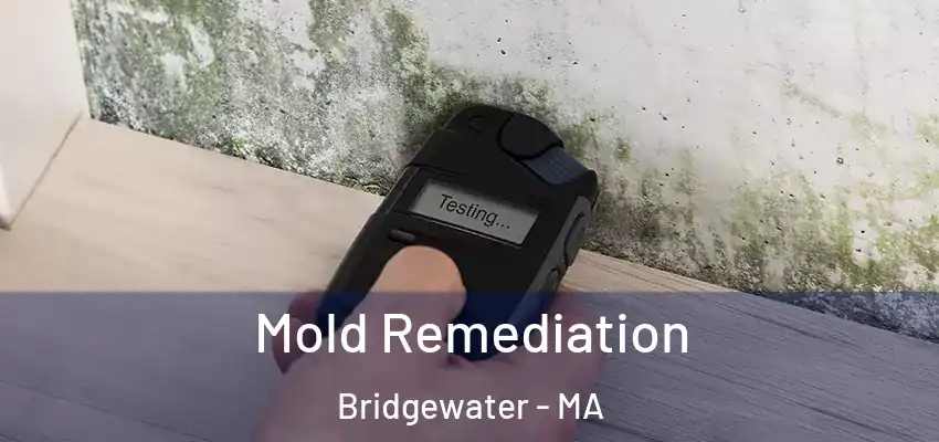 Mold Remediation Bridgewater - MA