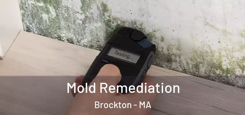 Mold Remediation Brockton - MA