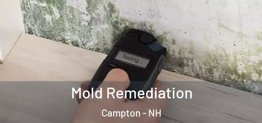  Mold Remediation Campton - NH