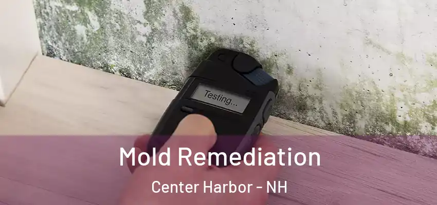  Mold Remediation Center Harbor - NH