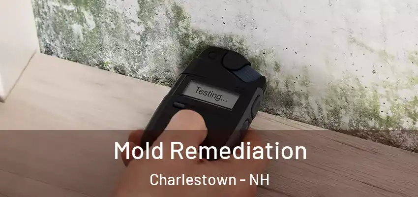 Mold Remediation Charlestown - NH