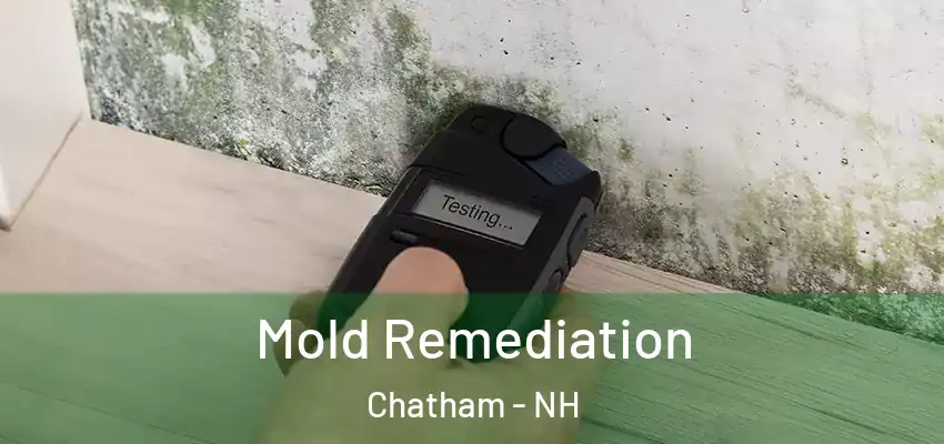Mold Remediation Chatham - NH